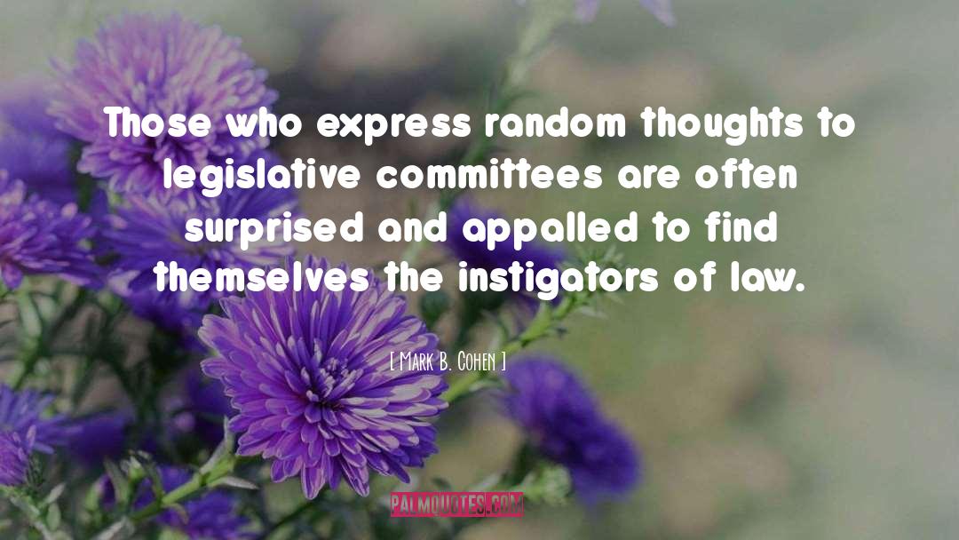 Mark B. Cohen Quotes: Those who express random thoughts