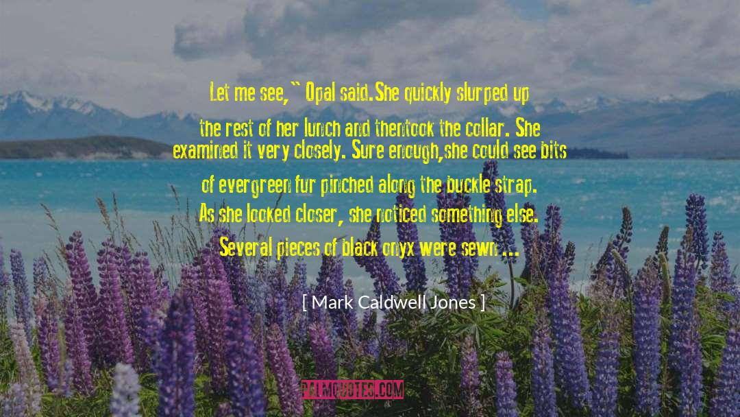 Mark Caldwell Jones Quotes: Let me see,