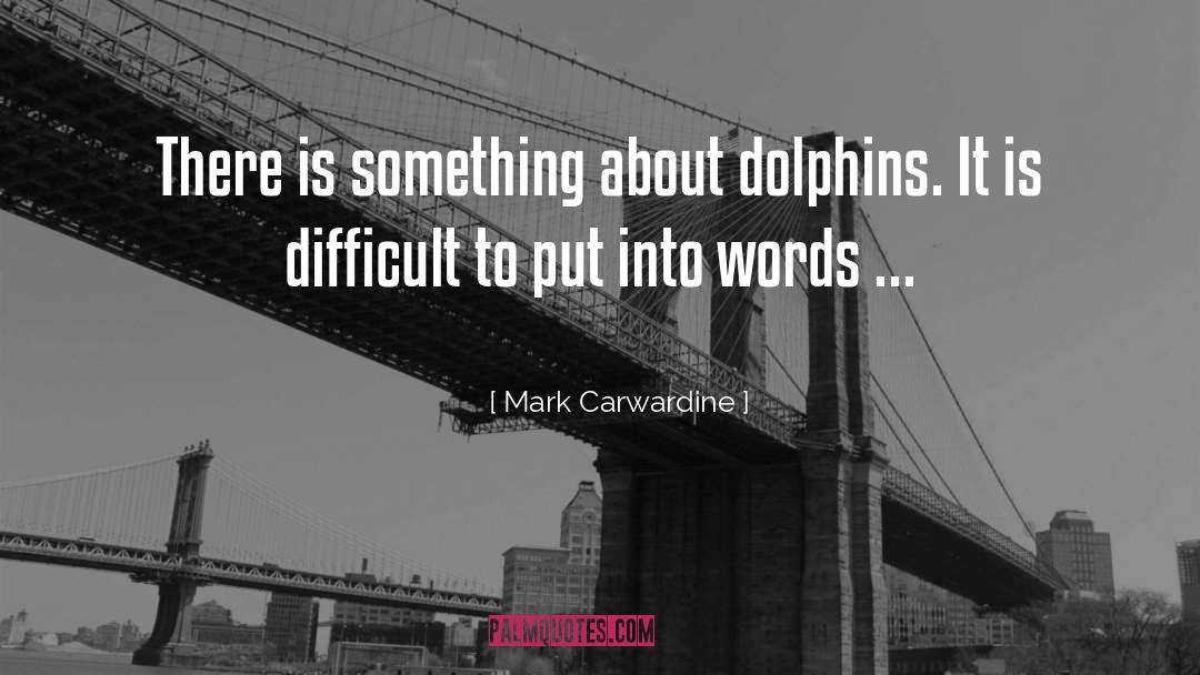 Mark Carwardine Quotes: There is something about dolphins.