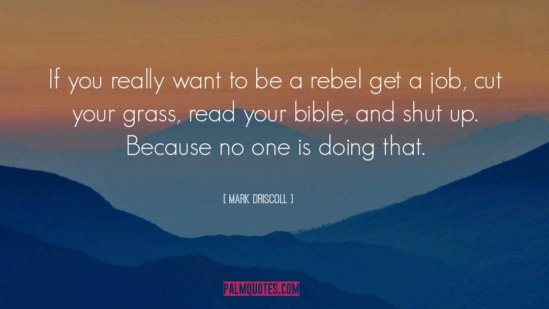 Mark Driscoll Quotes: If you really want to