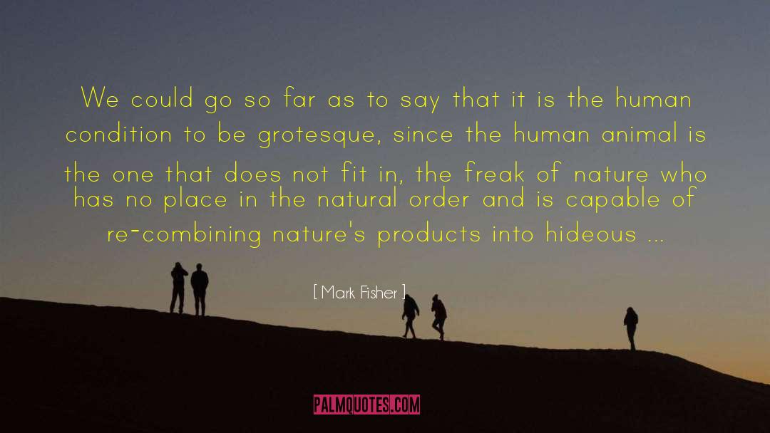 Mark Fisher Quotes: We could go so far