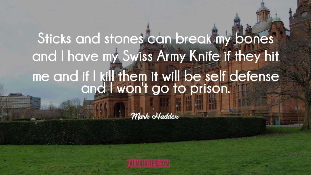 Mark Haddon Quotes: Sticks and stones can break