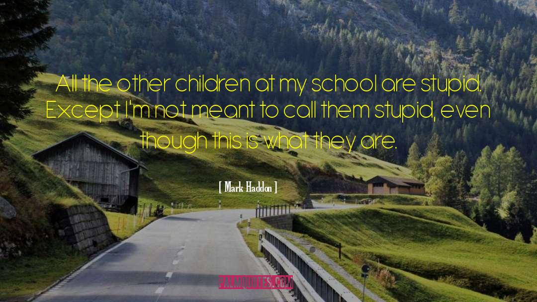 Mark Haddon Quotes: All the other children at