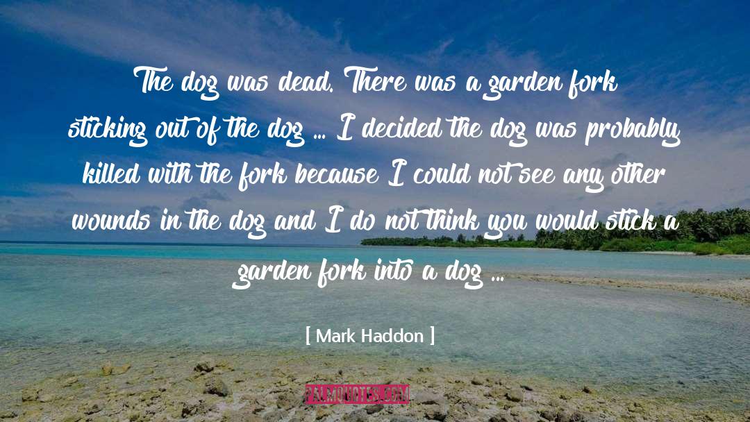 Mark Haddon Quotes: The dog was dead. There