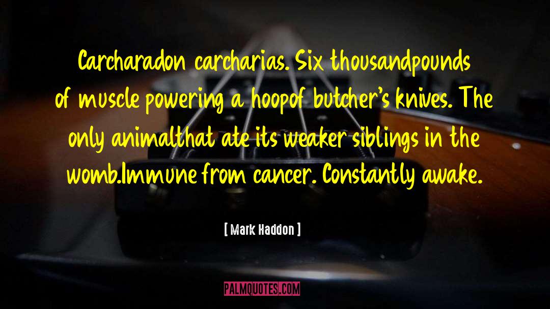Mark Haddon Quotes: Carcharadon carcharias. Six thousand<br>pounds of
