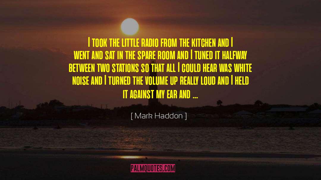 Mark Haddon Quotes: I took the little radio
