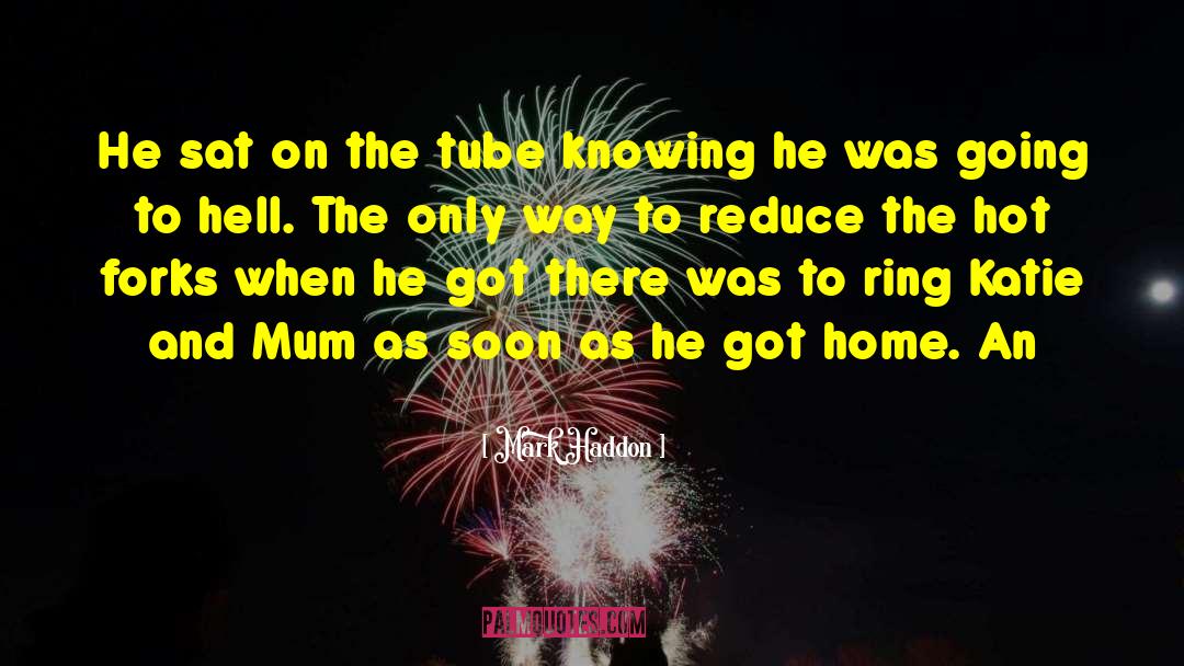 Mark Haddon Quotes: He sat on the tube