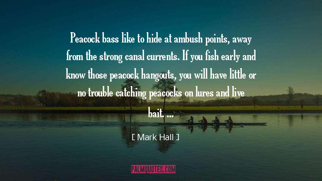 Mark Hall Quotes: Peacock bass like to hide