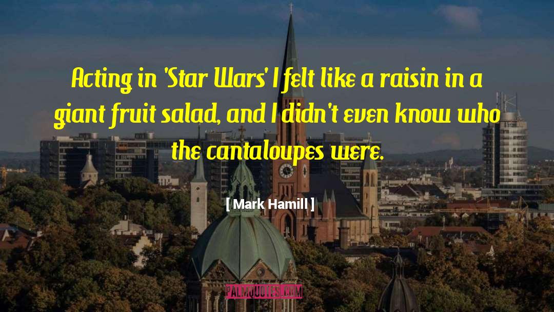 Mark Hamill Quotes: Acting in 'Star Wars' I