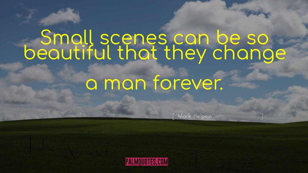 Mark Helprin Quotes: Small scenes can be so