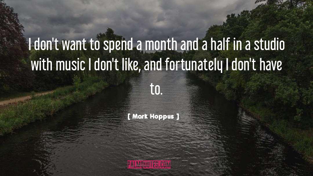 Mark Hoppus Quotes: I don't want to spend