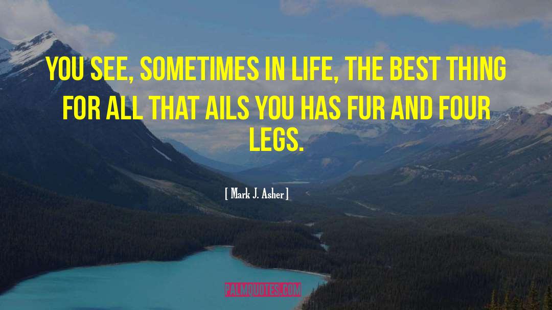 Mark J. Asher Quotes: You see, sometimes in life,