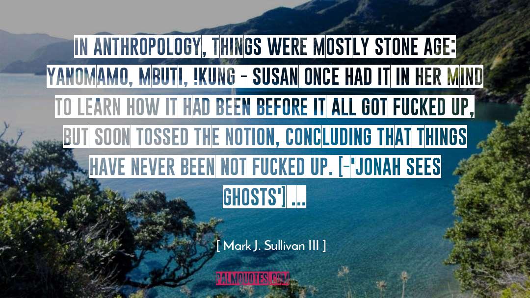 Mark J. Sullivan III Quotes: In anthropology, things were mostly