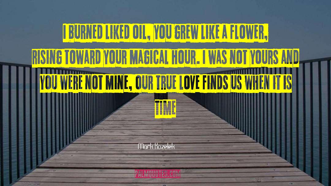 Mark Kozelek Quotes: I burned liked oil, you