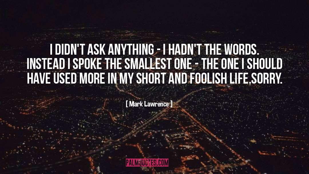 Mark Lawrence Quotes: I didn't ask anything -