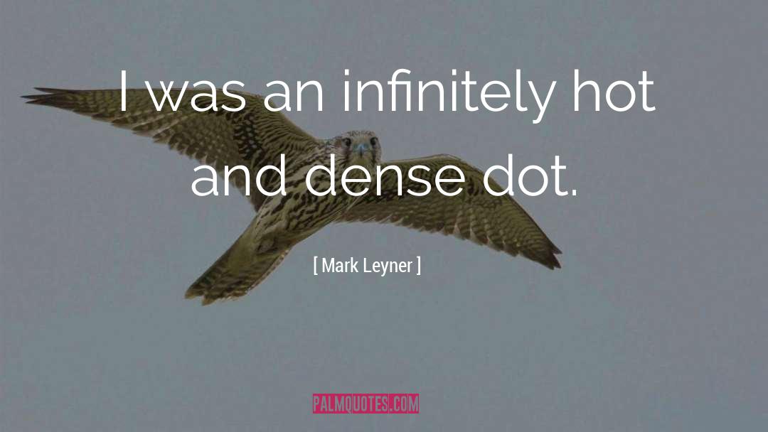 Mark Leyner Quotes: I was an infinitely hot