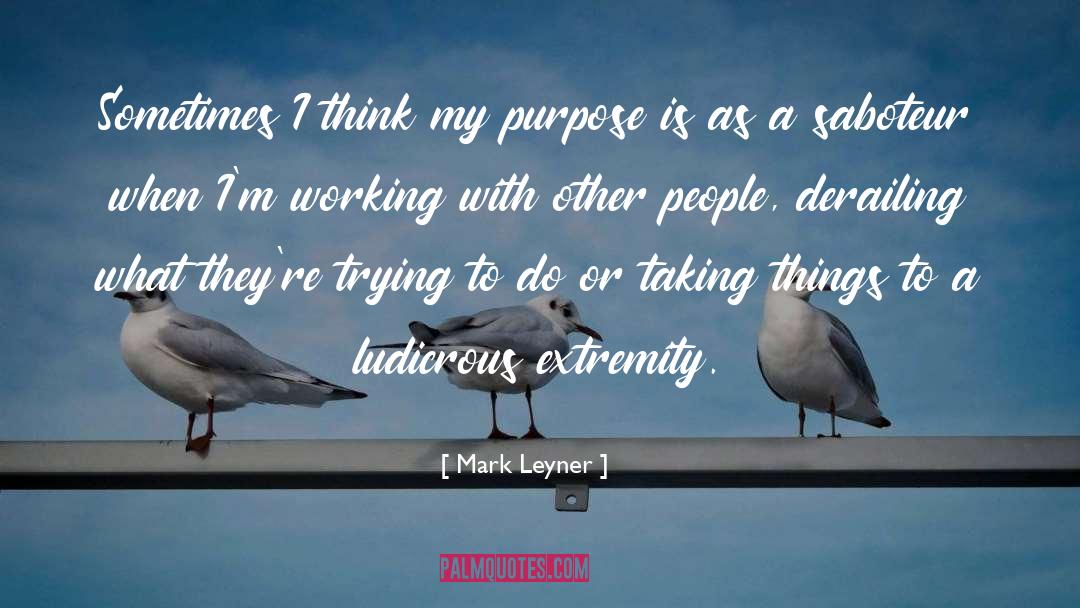 Mark Leyner Quotes: Sometimes I think my purpose