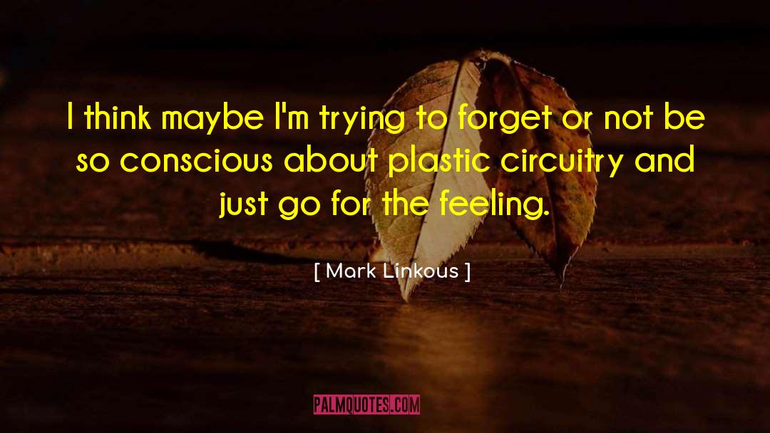Mark Linkous Quotes: I think maybe I'm trying