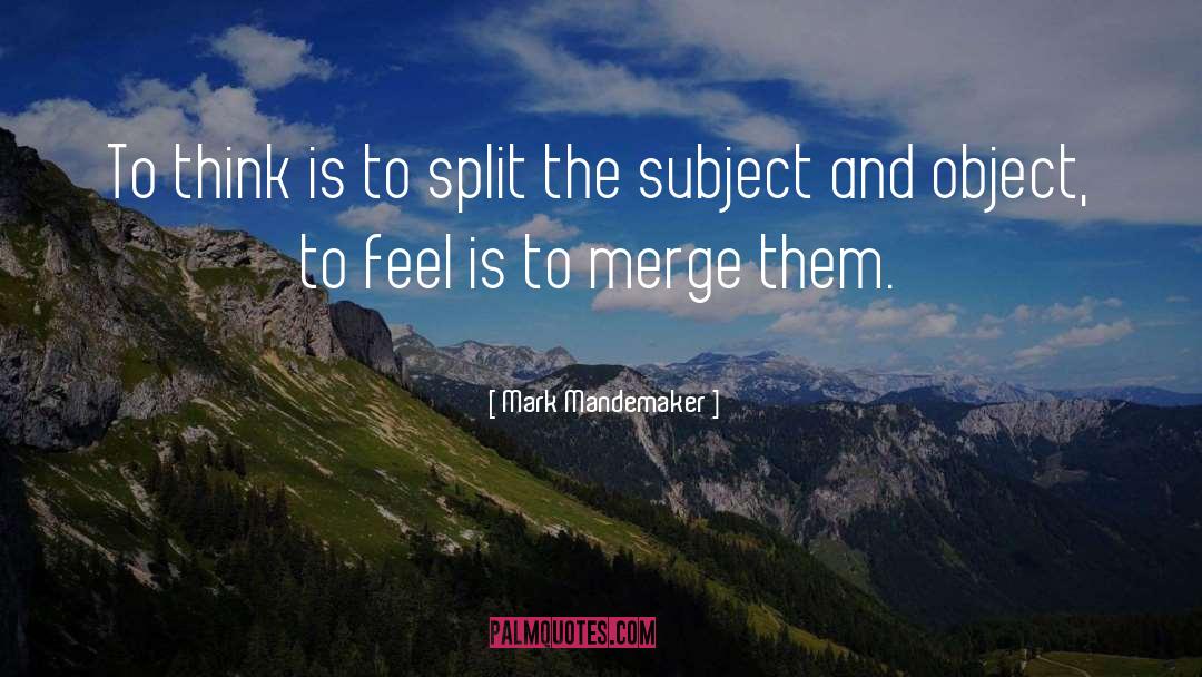 Mark Mandemaker Quotes: To think is to split