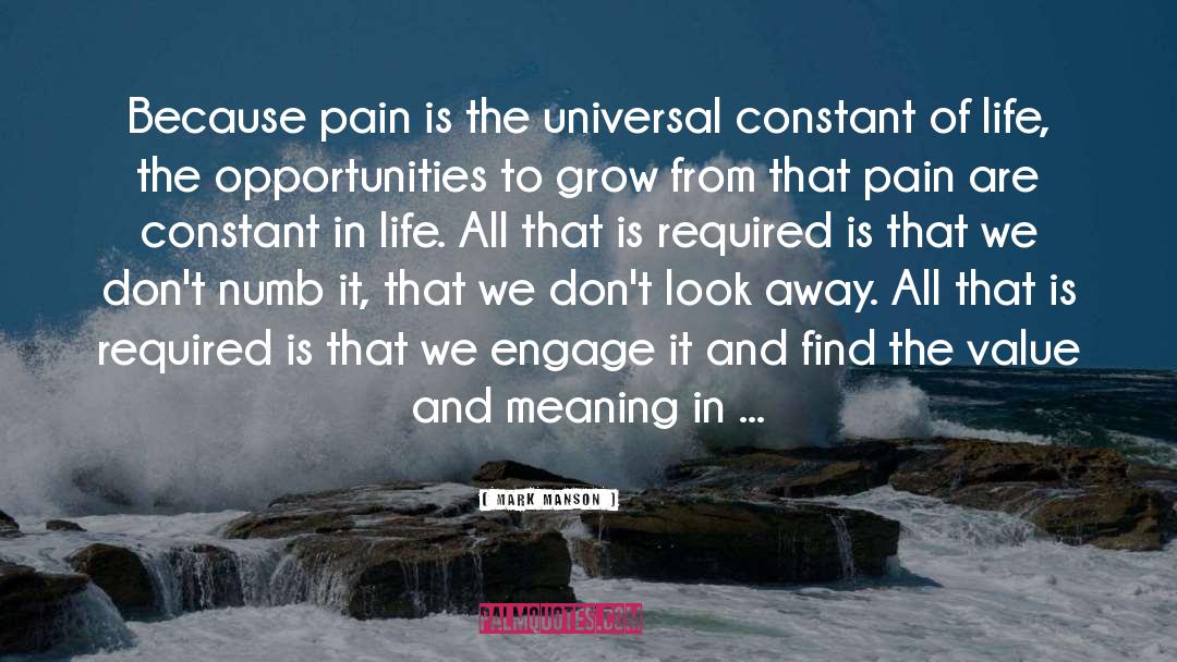 Mark Manson Quotes: Because pain is the universal