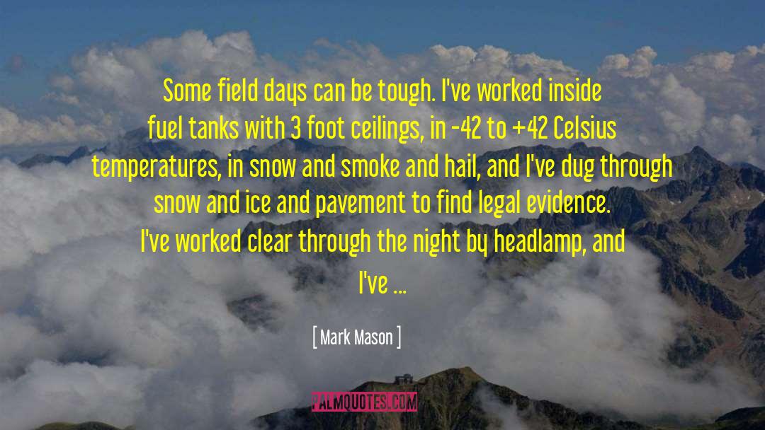 Mark Mason Quotes: Some field days can be