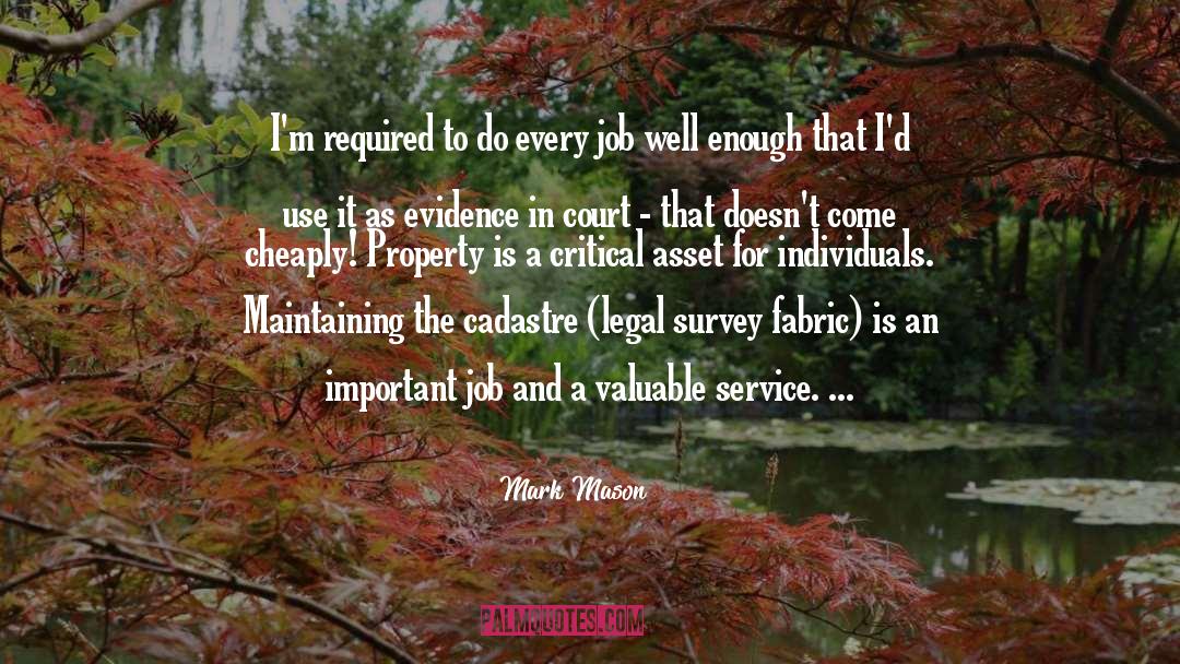 Mark Mason Quotes: I'm required to do every