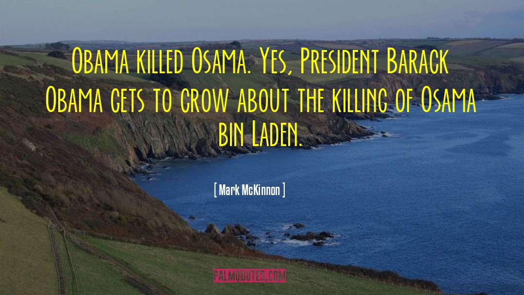 Mark McKinnon Quotes: Obama killed Osama. Yes, President