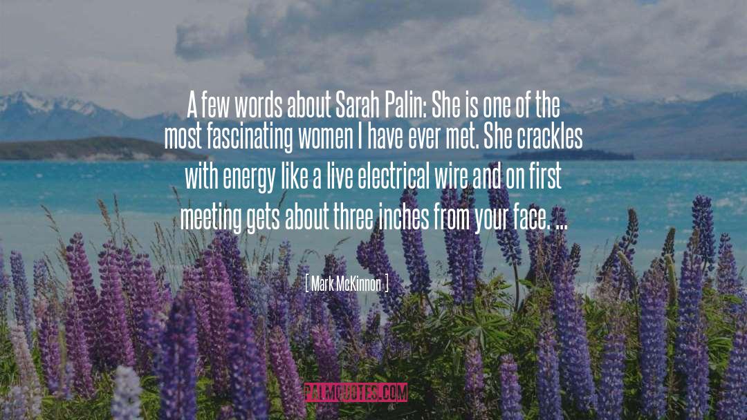 Mark McKinnon Quotes: A few words about Sarah