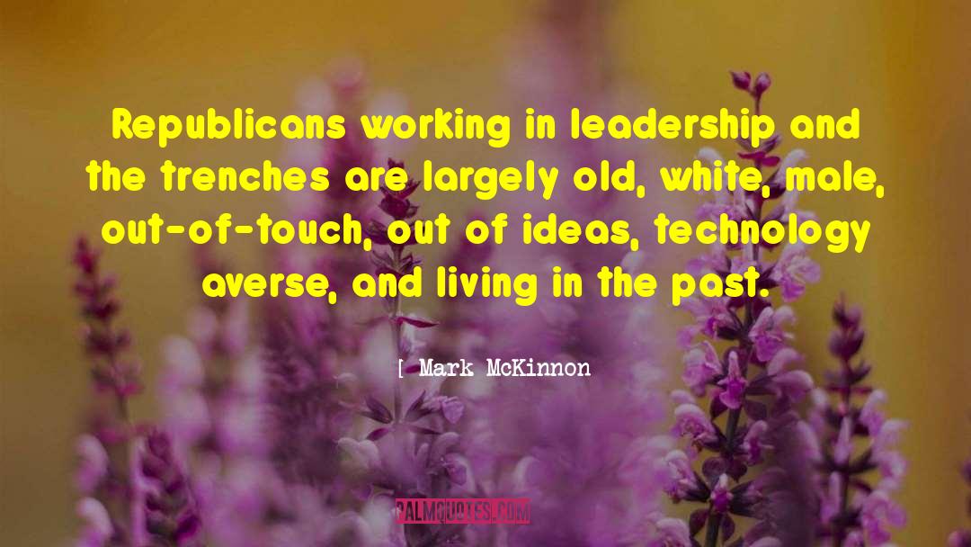 Mark McKinnon Quotes: Republicans working in leadership and