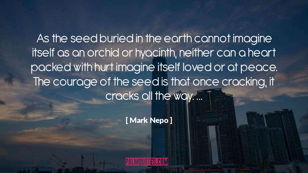 Mark Nepo Quotes: As the seed buried in