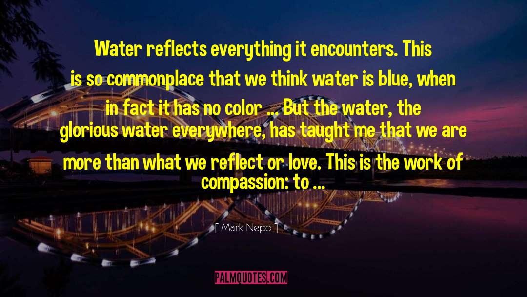 Mark Nepo Quotes: Water reflects everything it encounters.