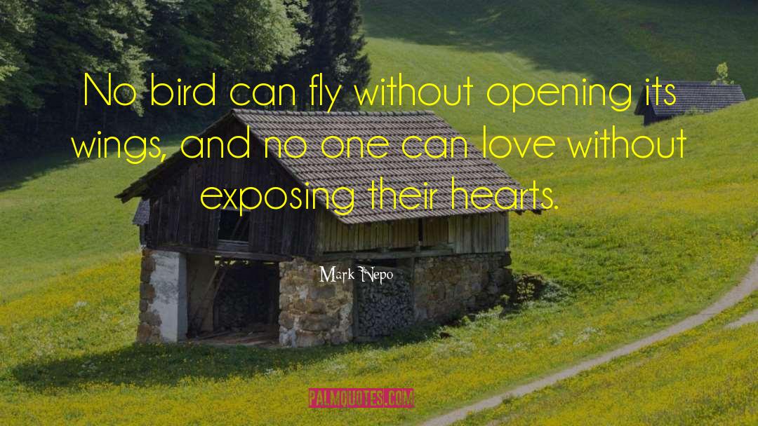 Mark Nepo Quotes: No bird can fly without