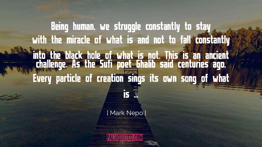 Mark Nepo Quotes: Being human, we struggle constantly