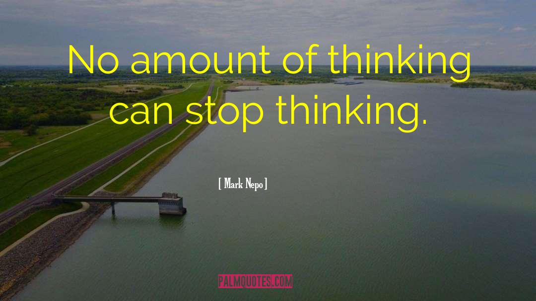 Mark Nepo Quotes: No amount of thinking can