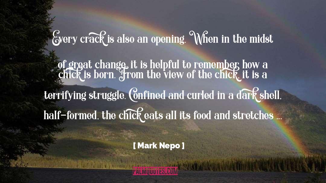 Mark Nepo Quotes: Every crack is also an