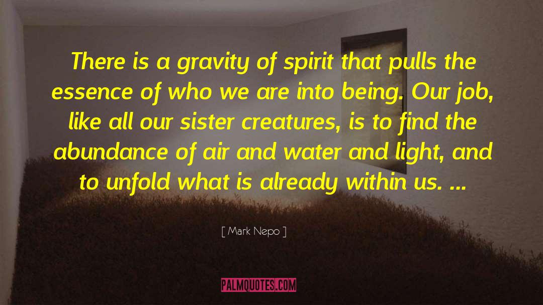 Mark Nepo Quotes: There is a gravity of