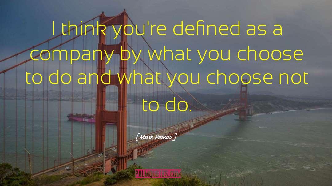 Mark Pincus Quotes: I think you're defined as