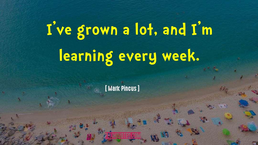 Mark Pincus Quotes: I've grown a lot, and