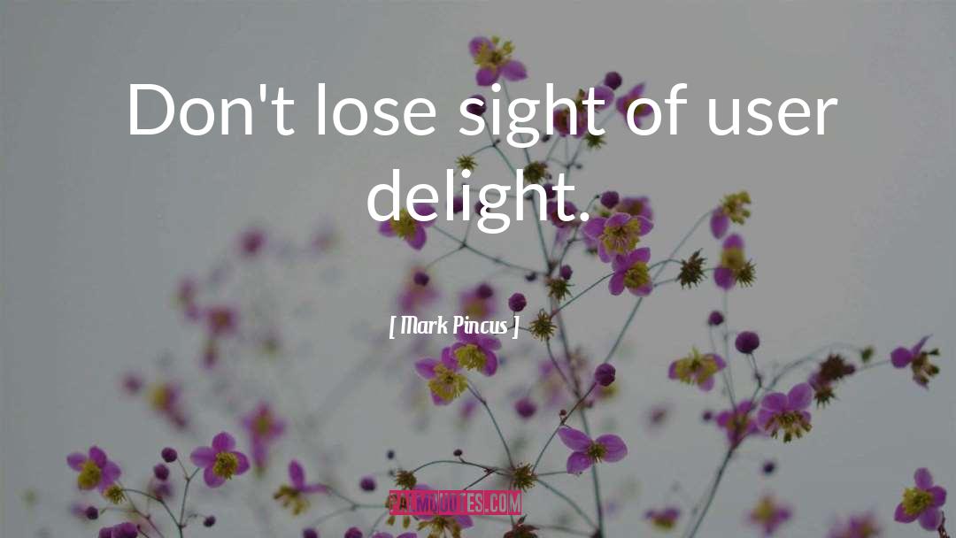 Mark Pincus Quotes: Don't lose sight of user