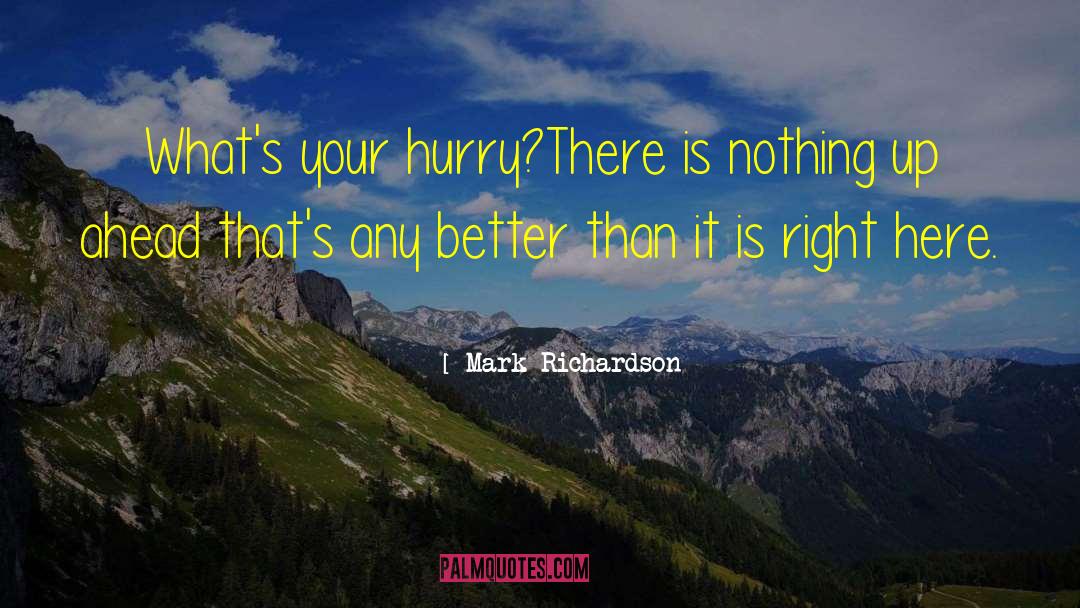 Mark Richardson Quotes: What's your hurry?<br>There is nothing