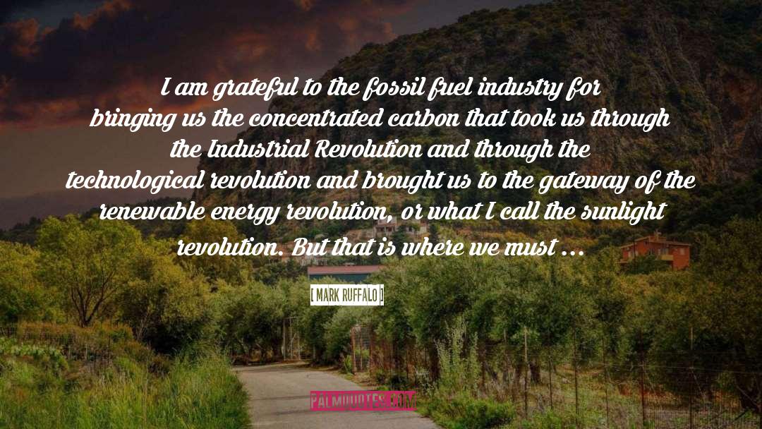 Mark Ruffalo Quotes: I am grateful to the
