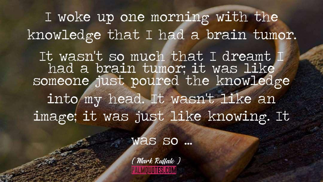 Mark Ruffalo Quotes: I woke up one morning
