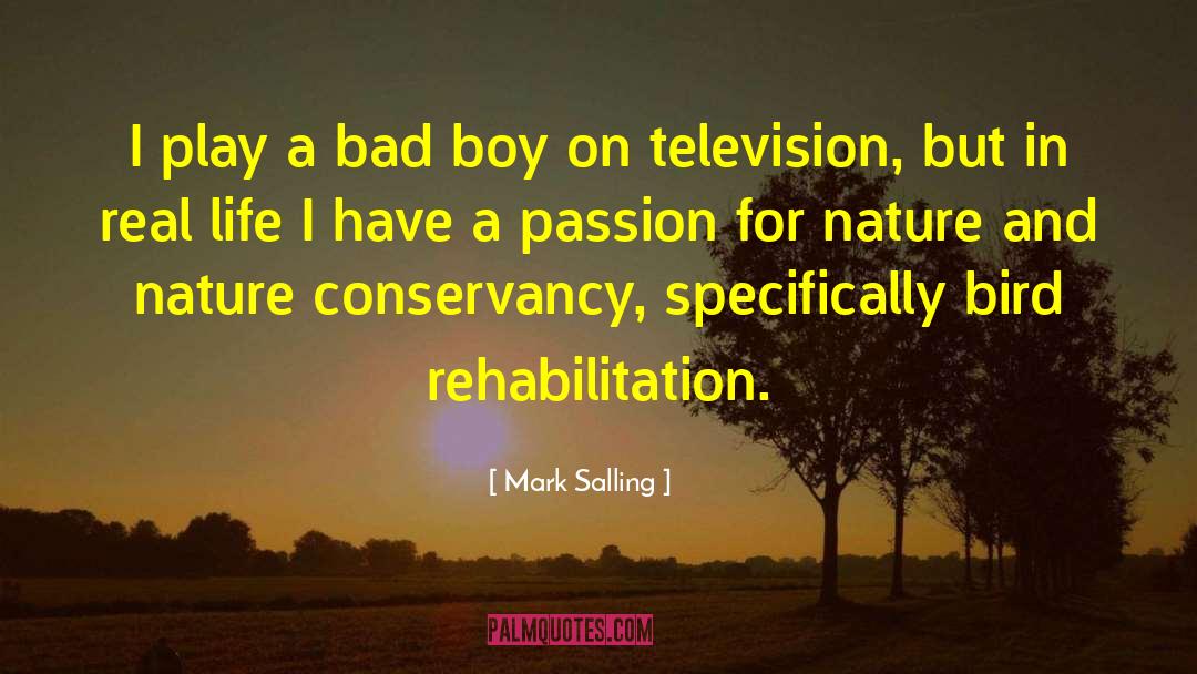Mark Salling Quotes: I play a bad boy