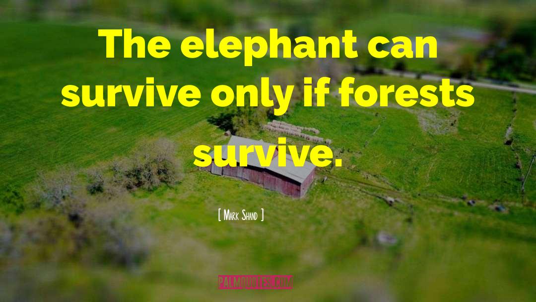 Mark Shand Quotes: The elephant can survive only