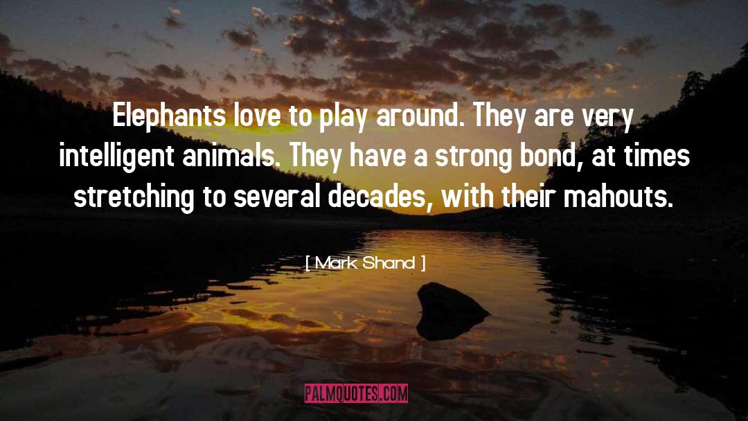Mark Shand Quotes: Elephants love to play around.