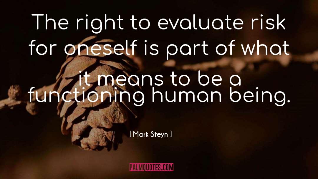 Mark Steyn Quotes: The right to evaluate risk