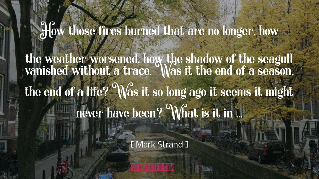 Mark Strand Quotes: How those fires burned that