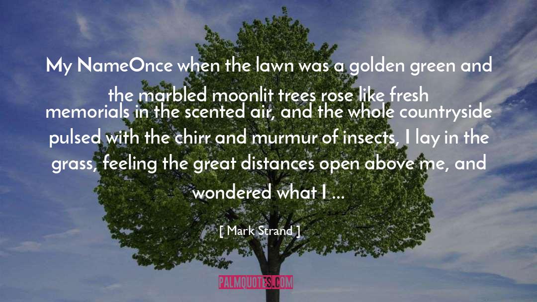 Mark Strand Quotes: My Name<br>Once when the lawn