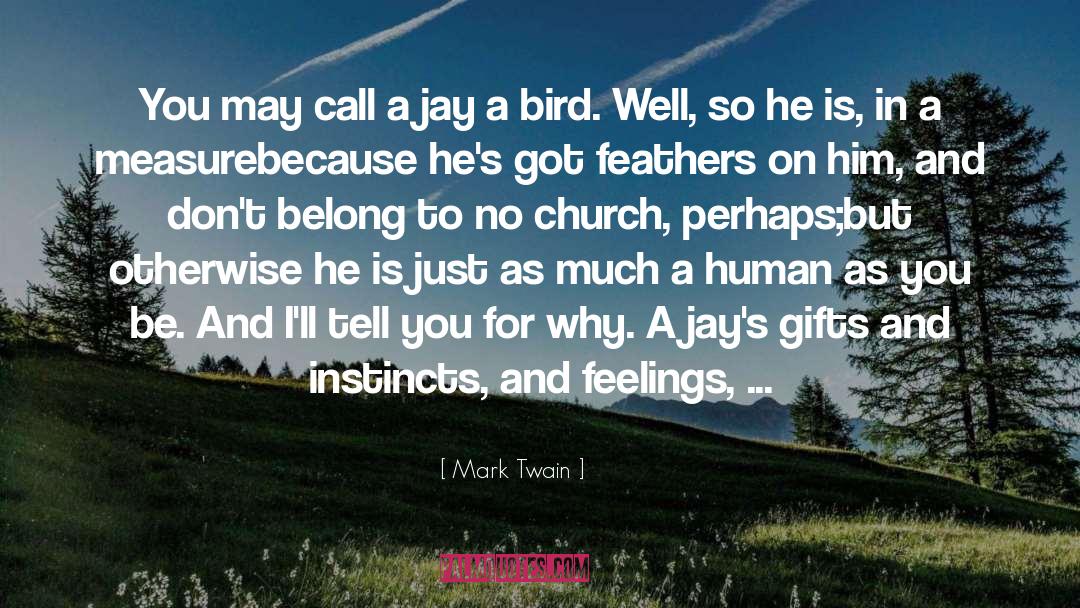 Mark Twain Quotes: You may call a jay