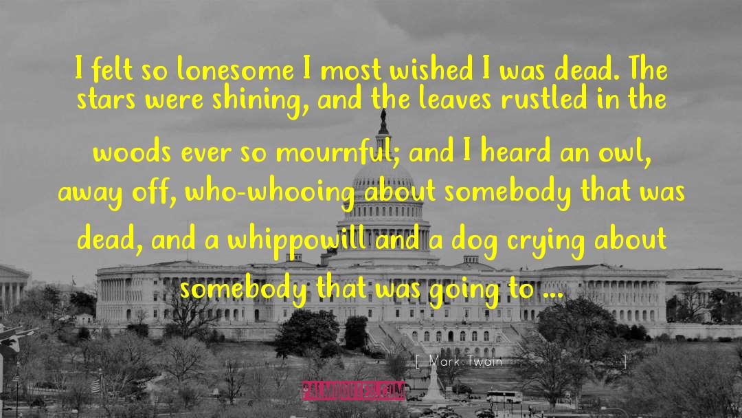 Mark Twain Quotes: I felt so lonesome I